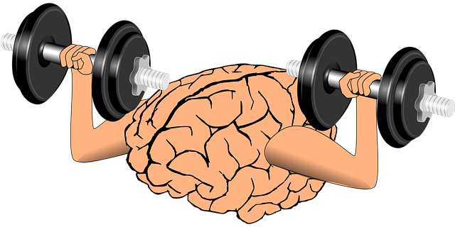 le sport bon pour le cerveau